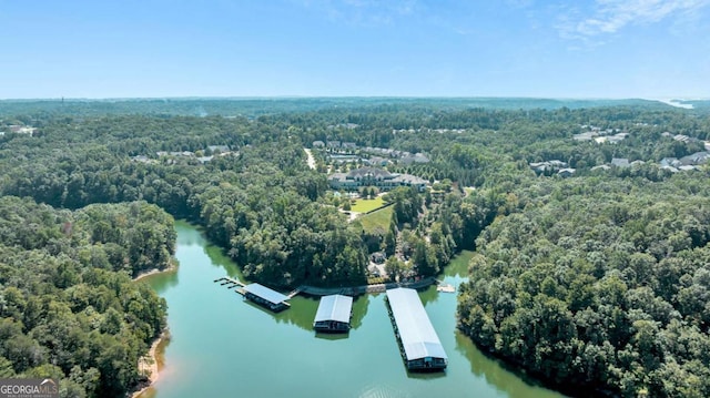 birds eye view of property with a water view and a wooded view