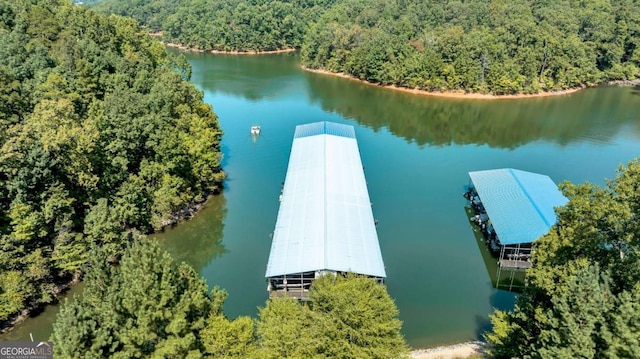 aerial view with a water view and a view of trees