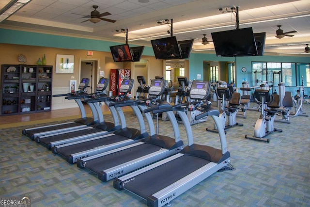 gym featuring a paneled ceiling, carpet flooring, and ceiling fan