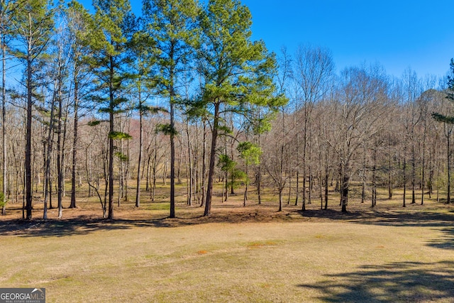 view of yard featuring a wooded view