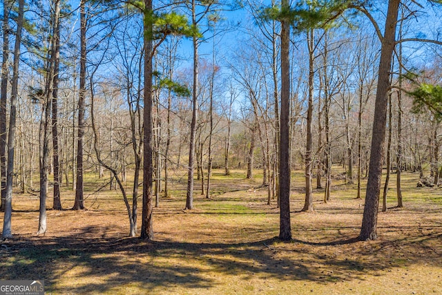 view of local wilderness