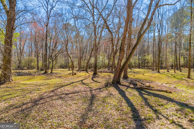 view of yard with a view of trees