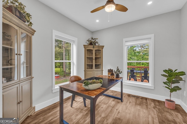 599 Double Branch Rd, Danielsville, GA 30633 - office space featuring baseboards, plenty of natural light, wood finished floors, ceiling fan, and recessed lighting