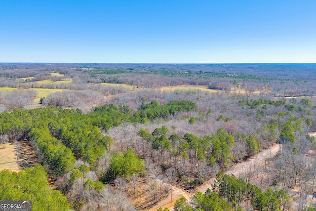 599 Double Branch Rd, Danielsville, GA 30633 - aerial view of property's location featuring a forest