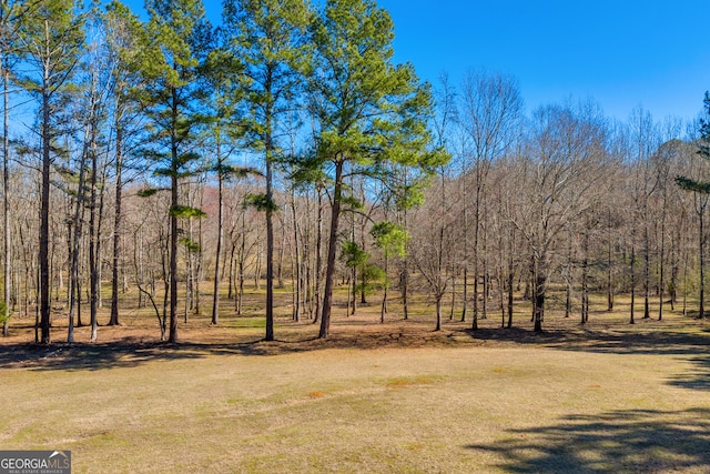 599 Double Branch Rd, Danielsville, GA 30633 - view of yard
