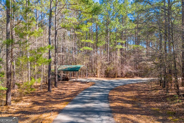 599 Double Branch Rd, Danielsville, GA 30633 - view of road with a forest view