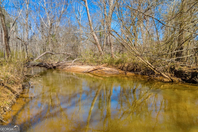 599 Double Branch Rd, Danielsville, GA 30633 - water view