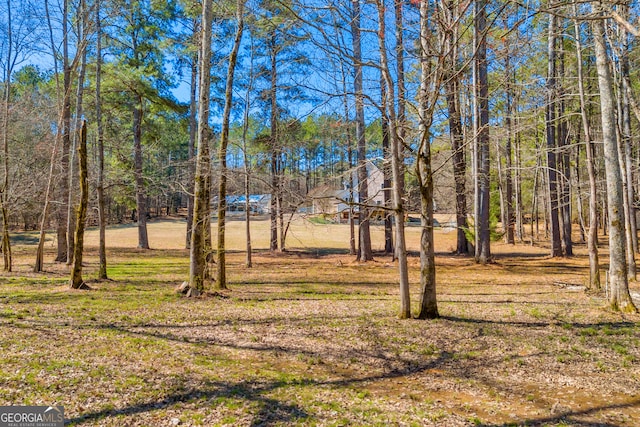 599 Double Branch Rd, Danielsville, GA 30633 - view of green lawn