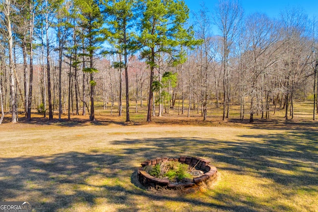 599 Double Branch Rd, Danielsville, GA 30633 - view of yard