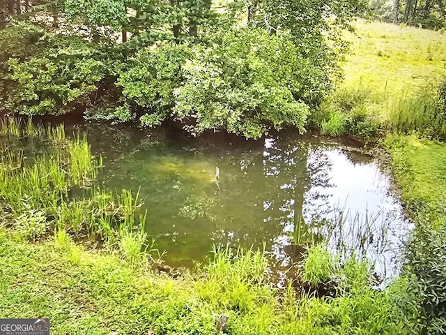 view of landscape featuring a water view