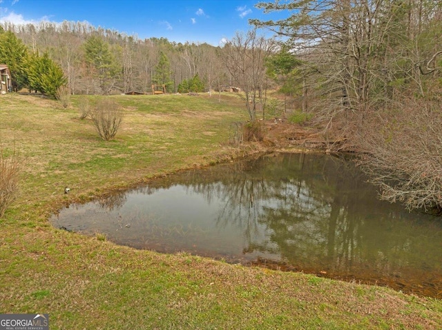 water view featuring a forest view