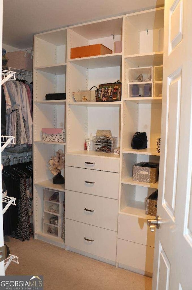 view of walk in closet