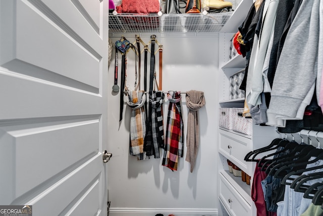 view of walk in closet