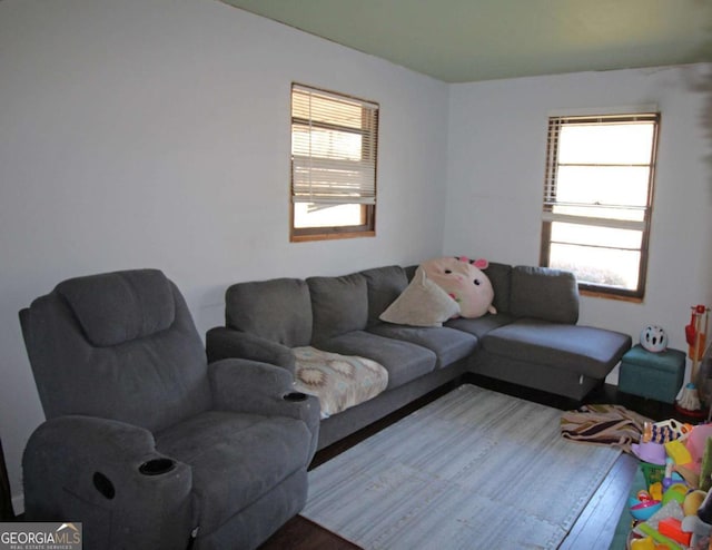 living room with wood finished floors