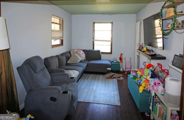 living room featuring hardwood / wood-style flooring