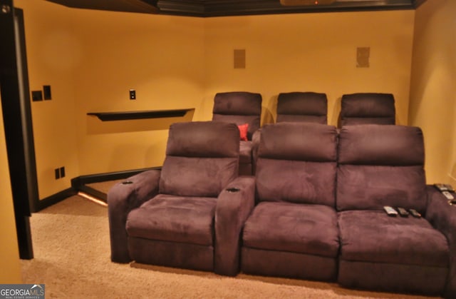 cinema with carpet and baseboards