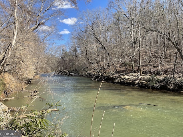 property view of water featuring a wooded view