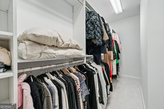 spacious closet featuring carpet floors