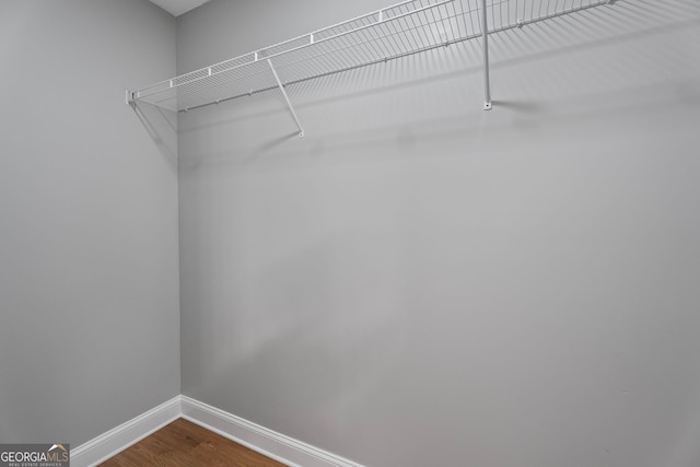 spacious closet with dark wood-type flooring