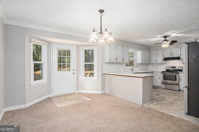 kitchen with under cabinet range hood, light carpet, a peninsula, appliances with stainless steel finishes, and tasteful backsplash