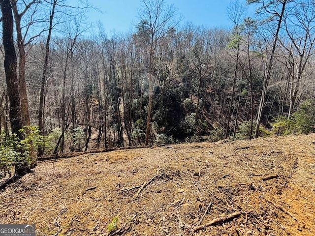 2.49AC Mountain Tops Cir, Blue Ridge GA, 30513 land for sale