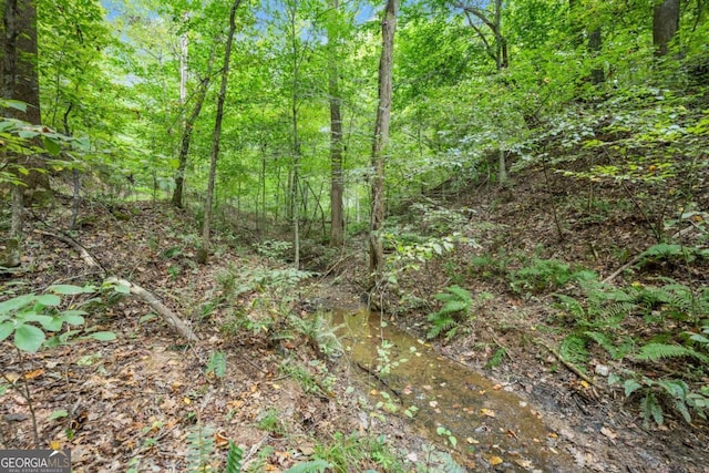 view of landscape featuring a forest view