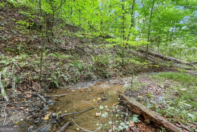 view of landscape featuring a wooded view