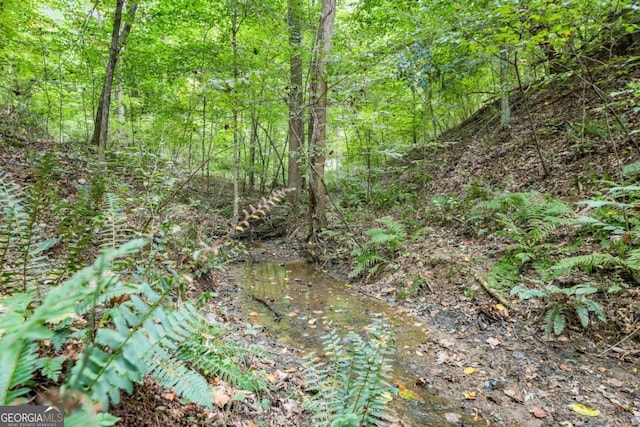 view of nature with a forest view