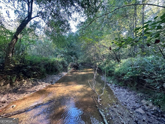 view of nature featuring a wooded view