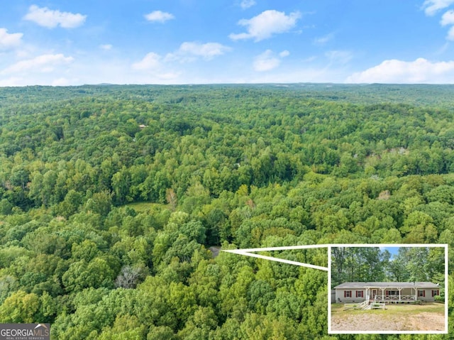 bird's eye view featuring a view of trees