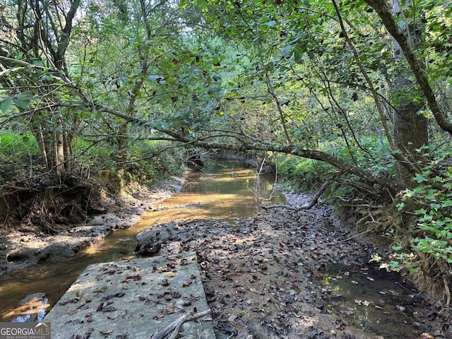 view of local wilderness featuring a wooded view