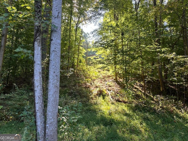 view of nature with a forest view