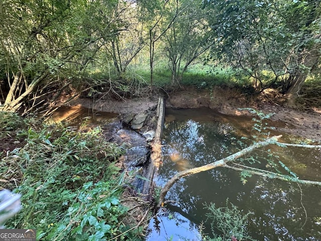 view of local wilderness