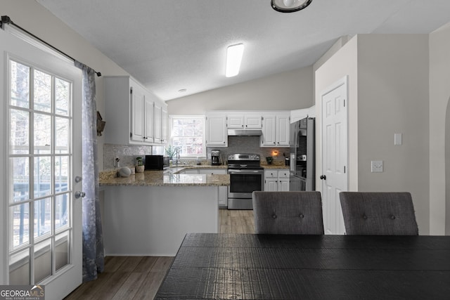 kitchen with light wood finished floors, under cabinet range hood, vaulted ceiling, stainless steel range with electric stovetop, and black fridge