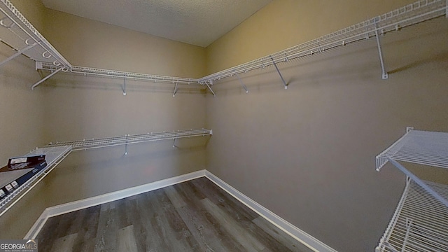 walk in closet with wood finished floors