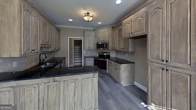 kitchen featuring a peninsula, a sink, appliances with stainless steel finishes, dark wood-style floors, and dark countertops