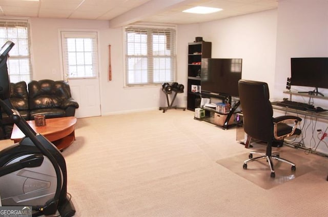 office featuring carpet floors, baseboards, and a drop ceiling