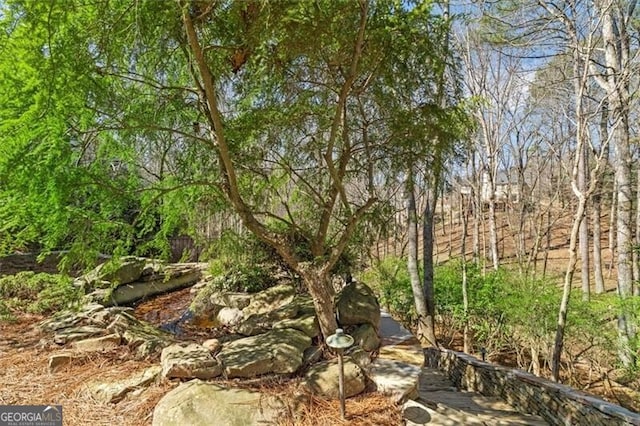 view of nature featuring a view of trees