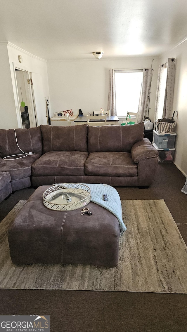 view of carpeted living area