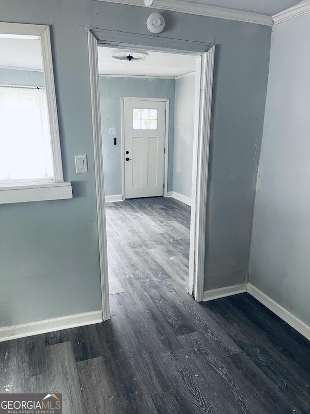 interior space featuring plenty of natural light, ornamental molding, and dark wood-type flooring