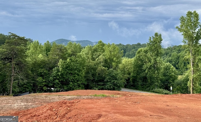 25 Caudell Dr, Cleveland GA, 30528 land for sale