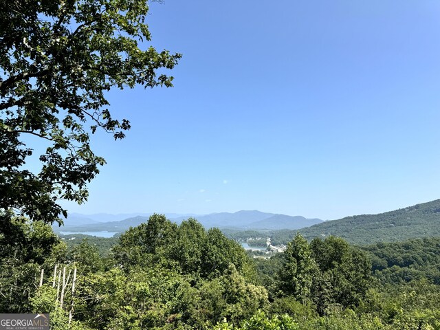 property view of mountains featuring a view of trees