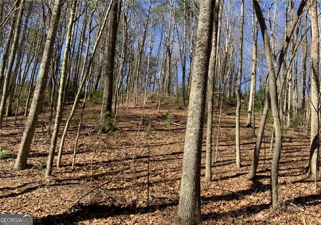 0 Walhalla Ct Unit 388, Ellijay, GA 30540
