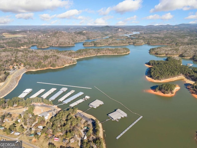 birds eye view of property with a water view and a wooded view