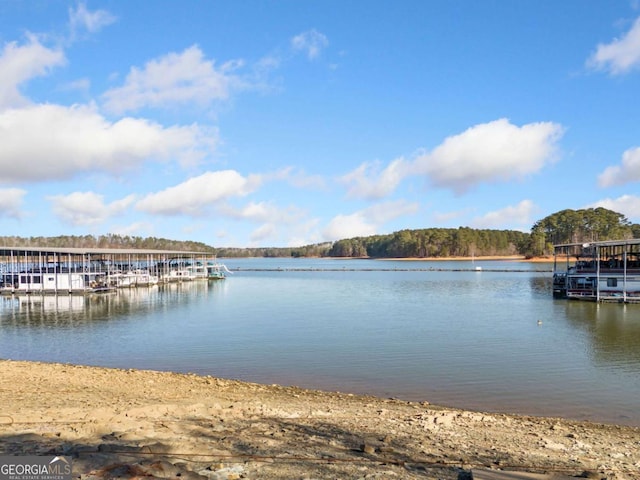 dock area featuring a water view