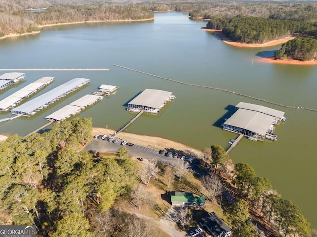 birds eye view of property featuring a water view and a view of trees