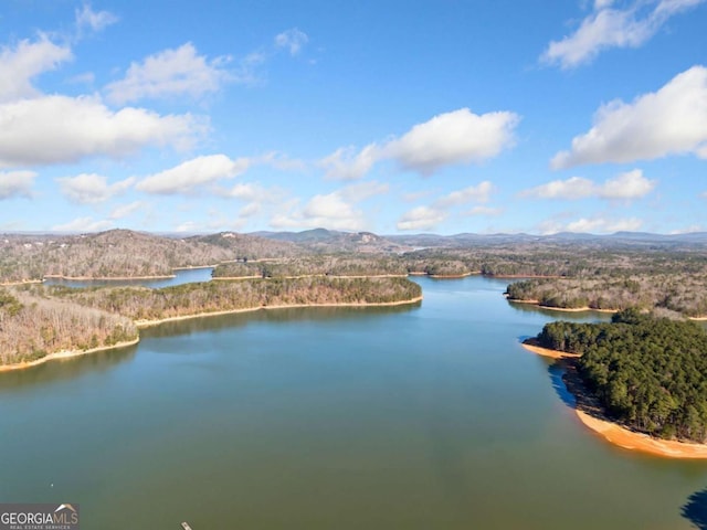 water view featuring a mountain view and a view of trees