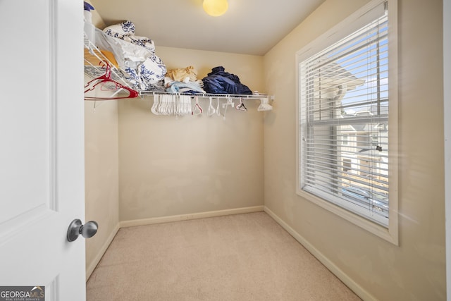 walk in closet featuring carpet flooring