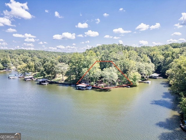 birds eye view of property with a water view and a wooded view