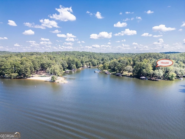 aerial view with a water view and a wooded view